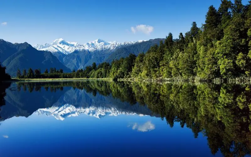 智能系统高端网络化